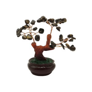 Arbolito de ojo de tigre | 5cm x 12cm