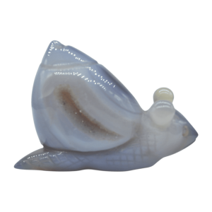 Caracol de piedra amatista pulida con drusa natural