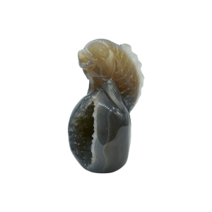 Pez sobre roca de piedra amatista pulida con drusa natural