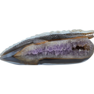 Caimán de piedra amatista pulida con drusa natural