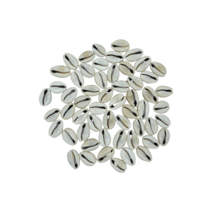 Conchitas de caracol